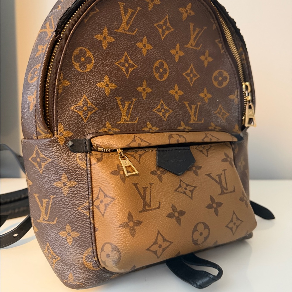 Louis Vuitton Monogram Pm Backpack - image 1